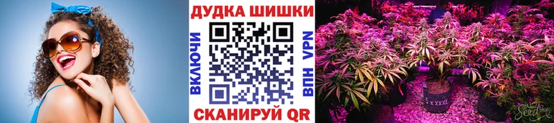 Конопля Bruce Banner  закладка  Обнинск 
